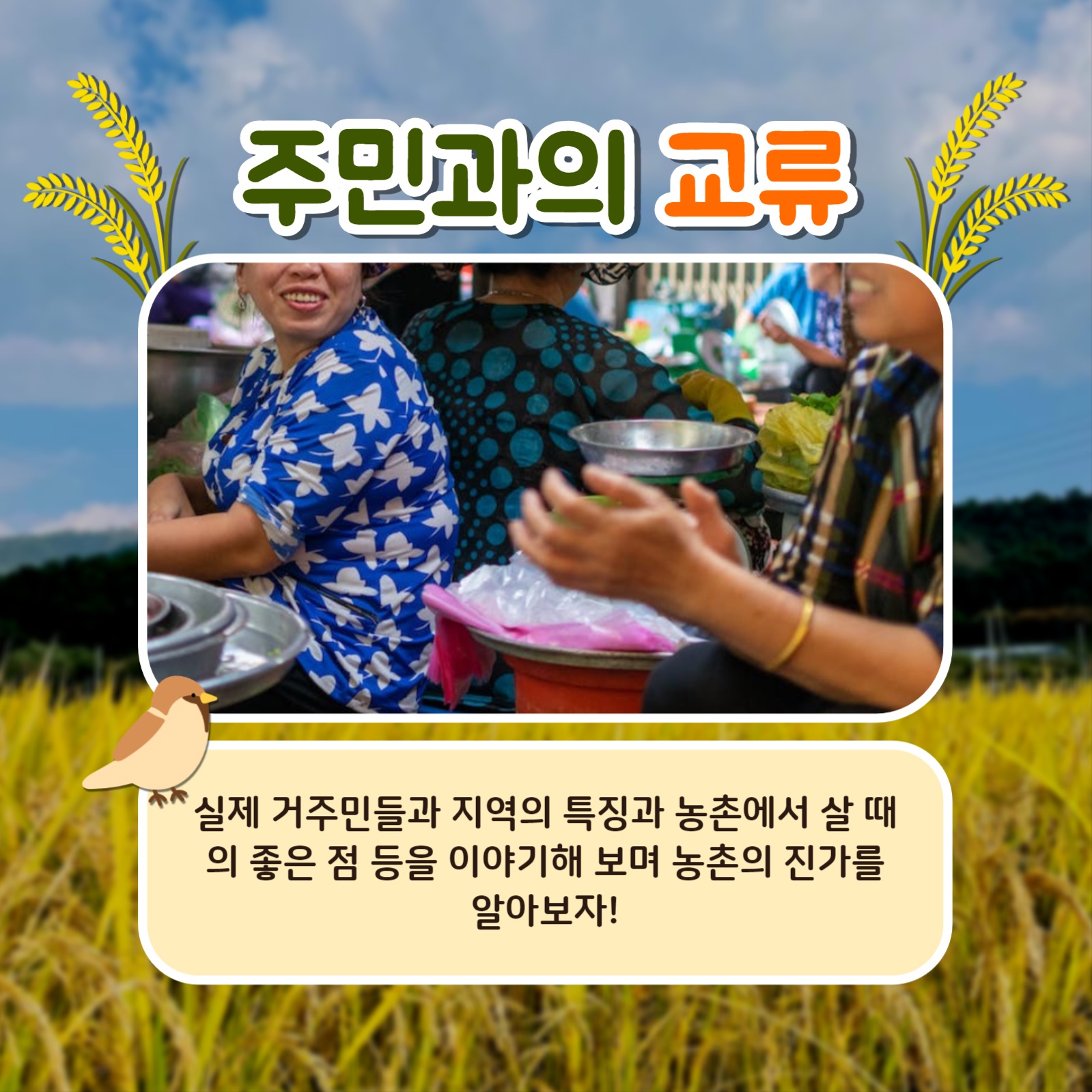 농촌에서 살아보기 카드뉴스