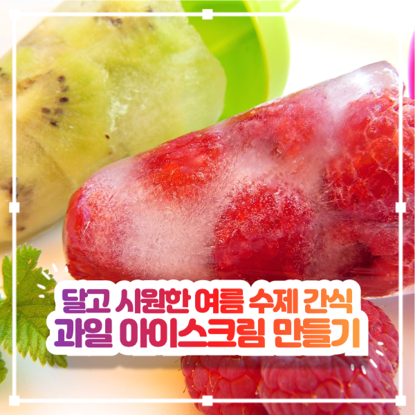 과일 아이스크림 만들기 페이스북