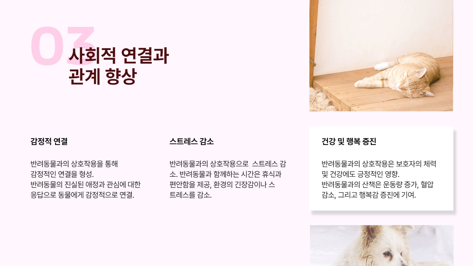 반려동물 양육의 장점