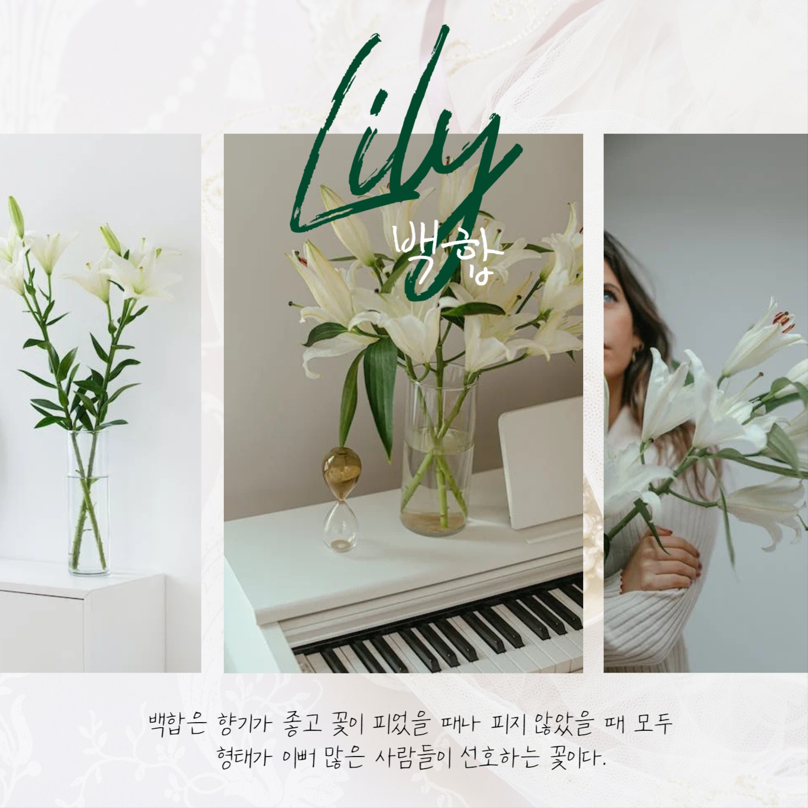 졸업식 꽃다발 추천 꽃집카드뉴스