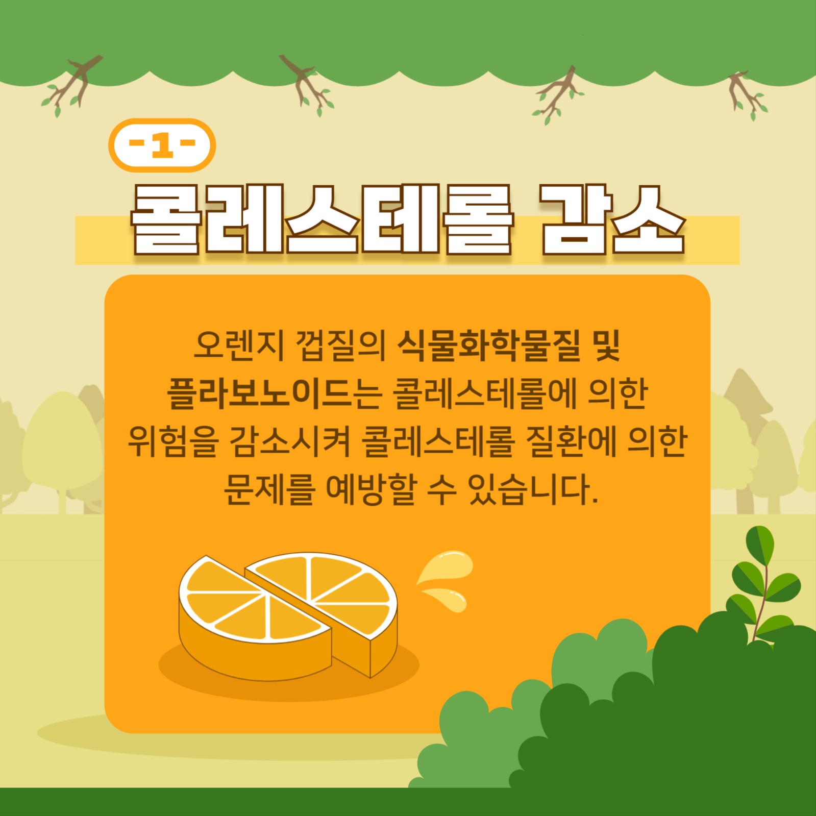 오렌지 껍질의 효능