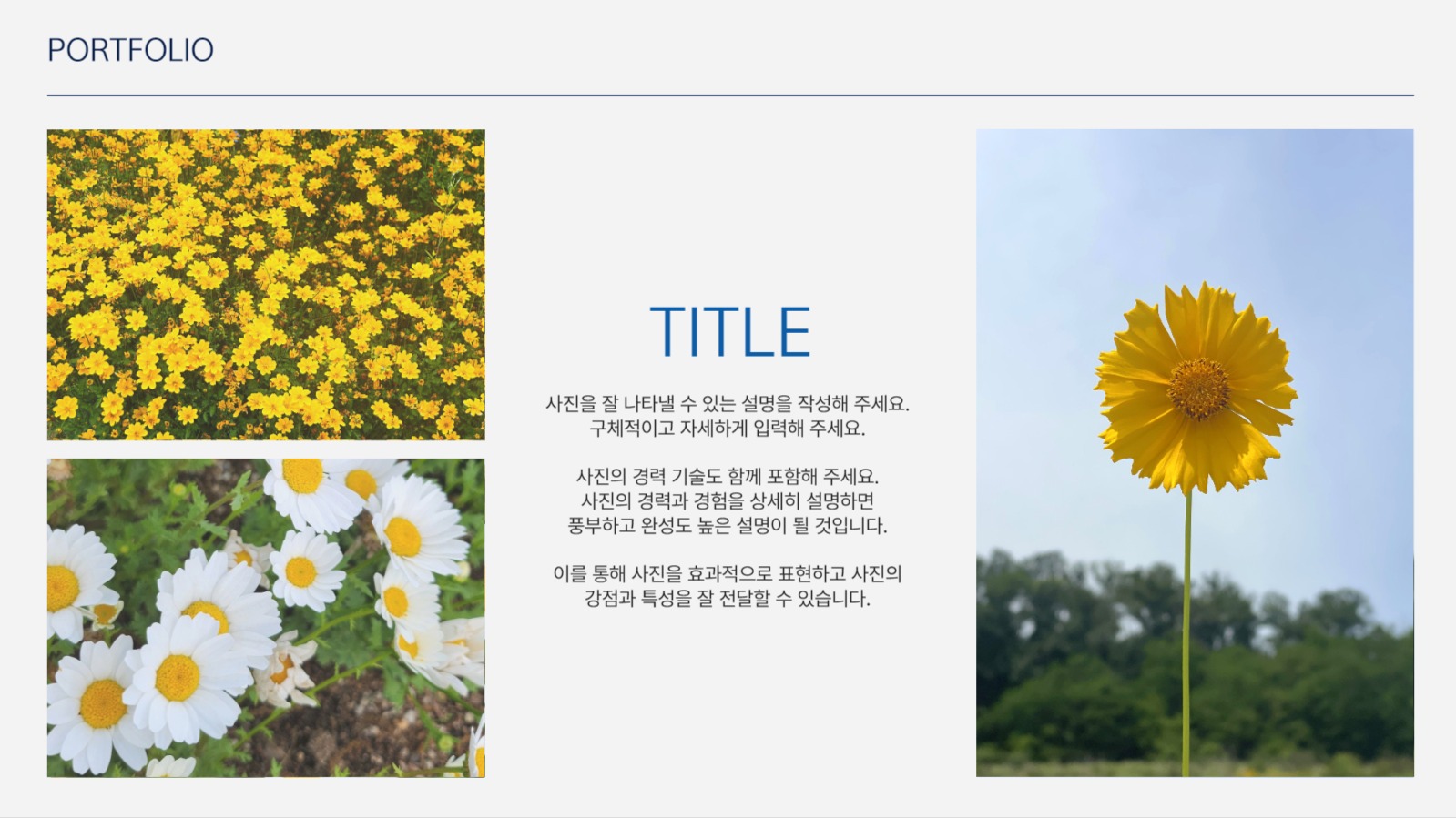 사진을 활용한 포트폴리오 템플릿