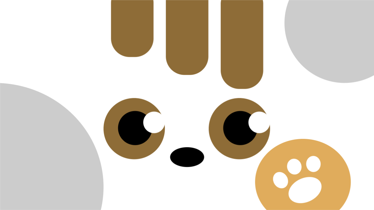 치즈냥 PC 배경 화면