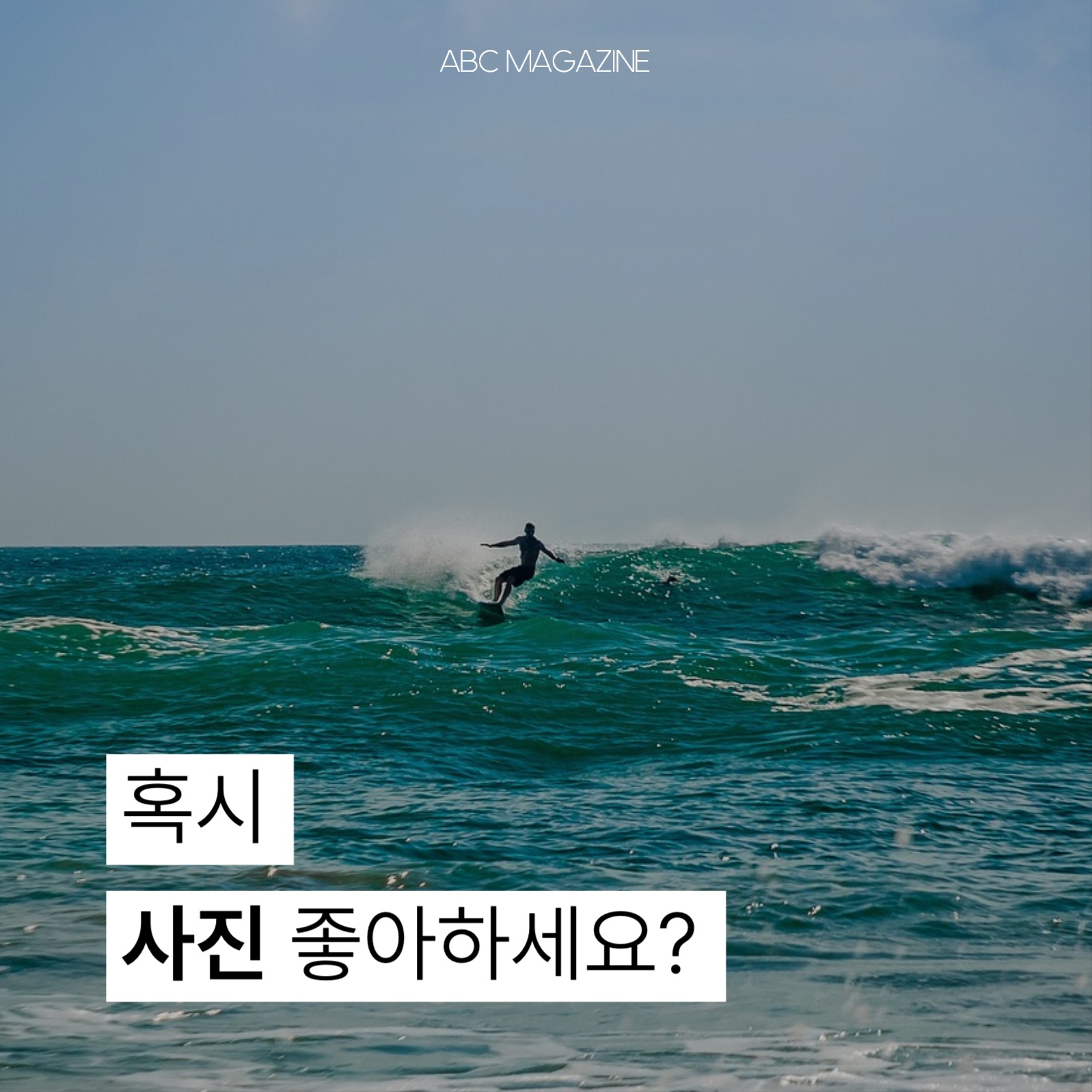 사진전 추천 및 이벤트