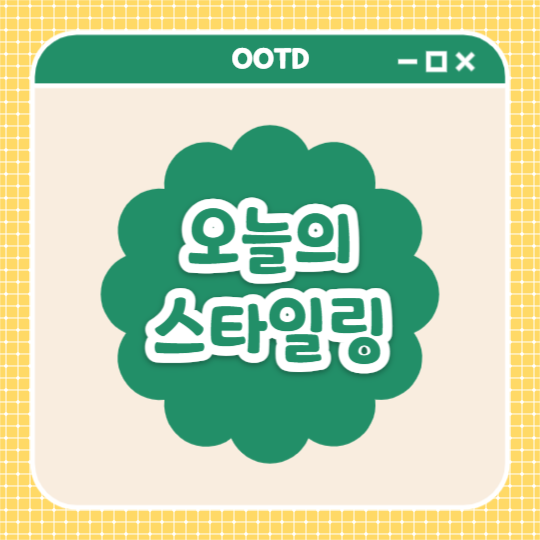 오늘의 스타일링 (카드뉴스)