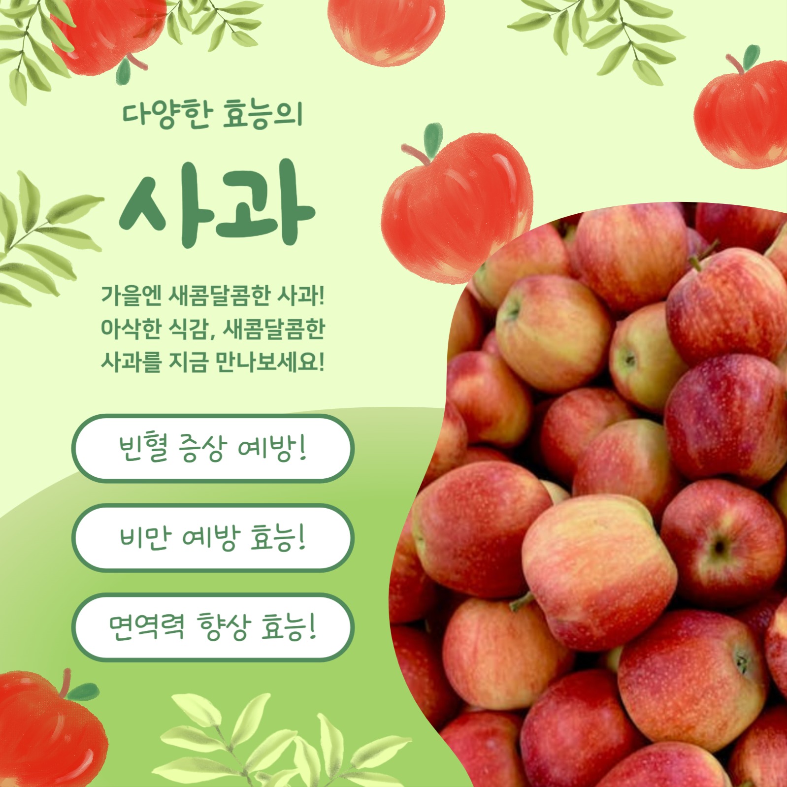 새콤달콤 제철사과 (카드뉴스)