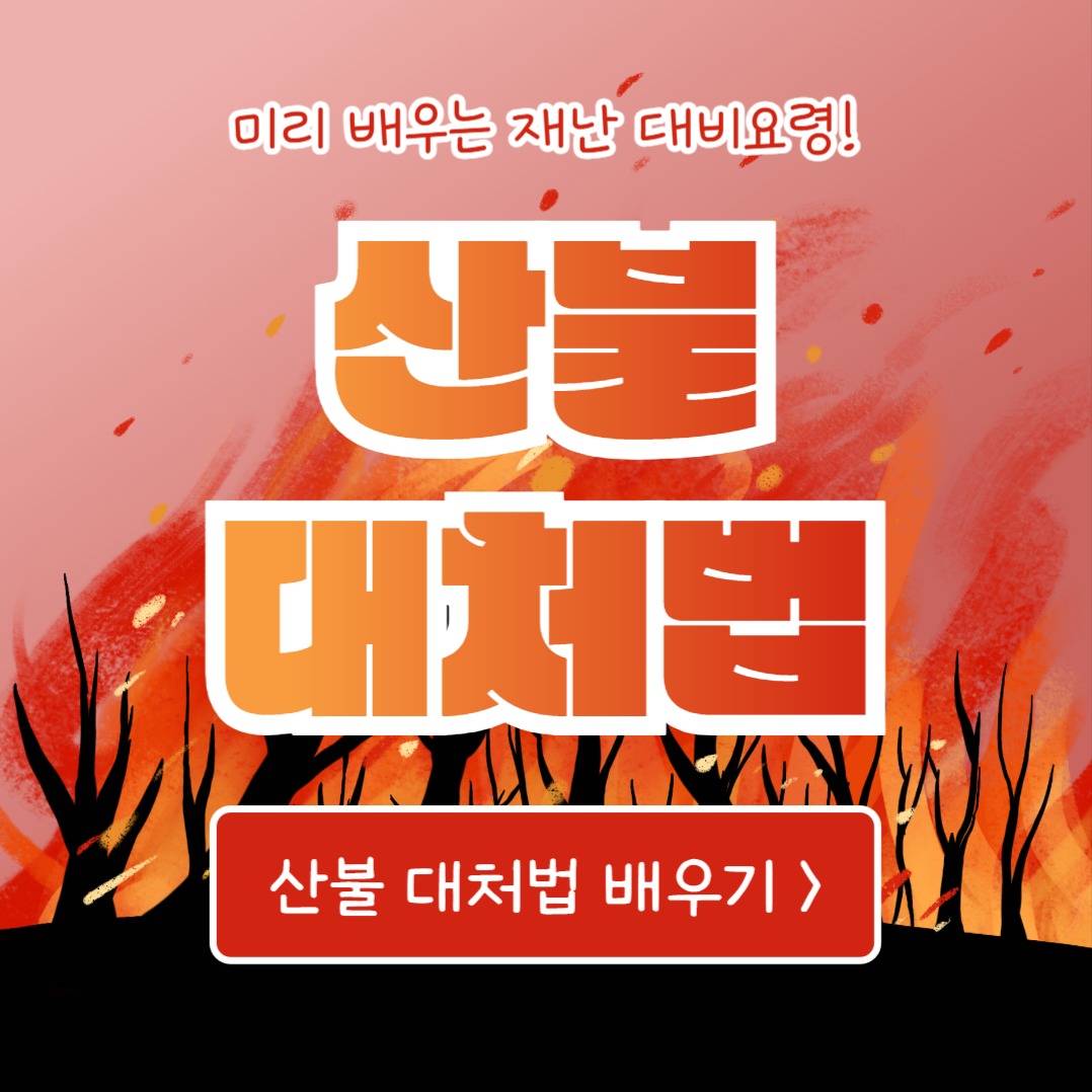 산불 대처법 (카드뉴스)