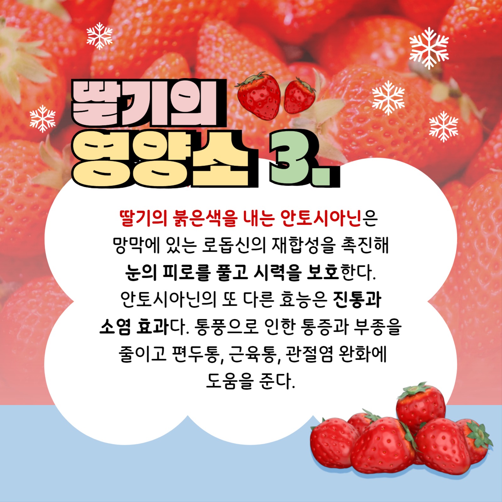 겨울 딸기 템플릿