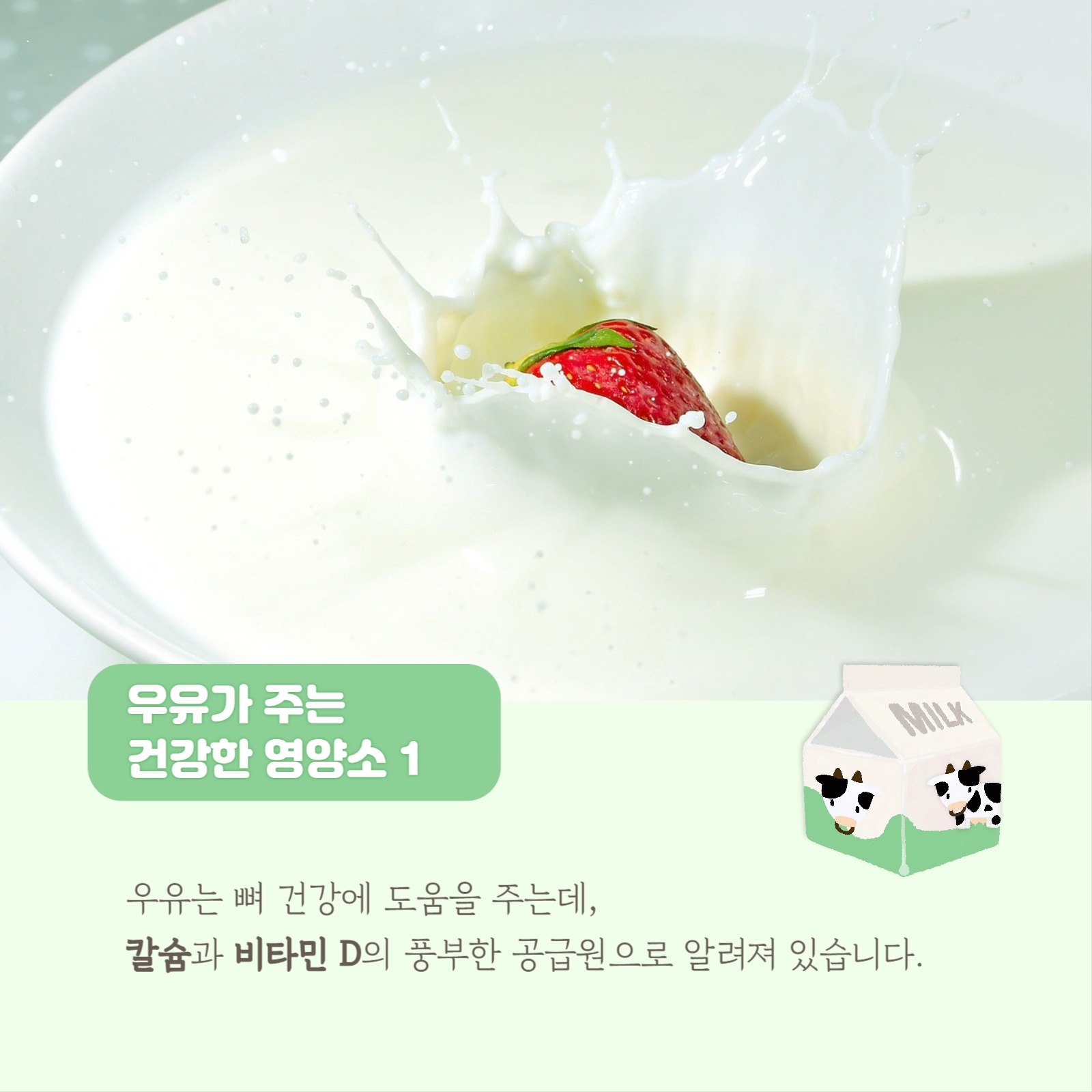 우유가 주는 건강한 영양소