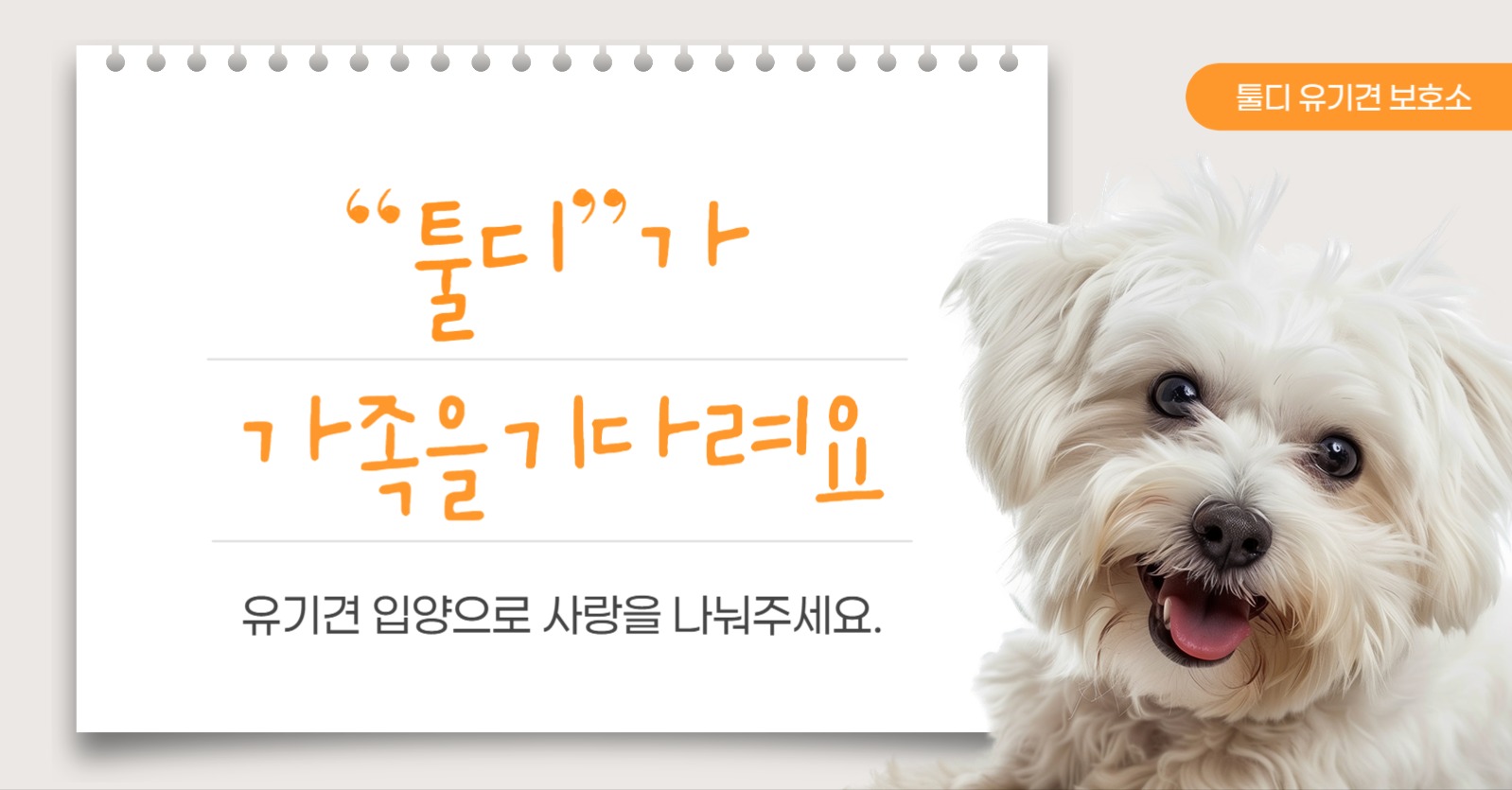 유기견 입양 홍보