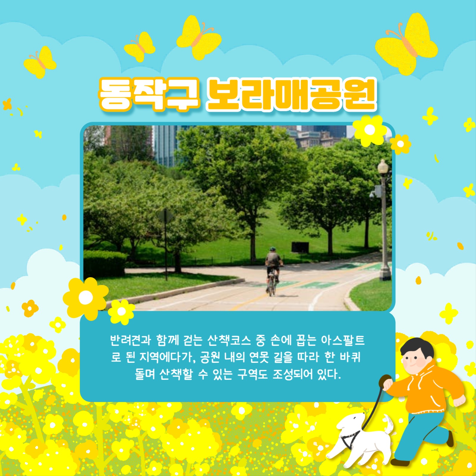 산책코스 카드뉴스