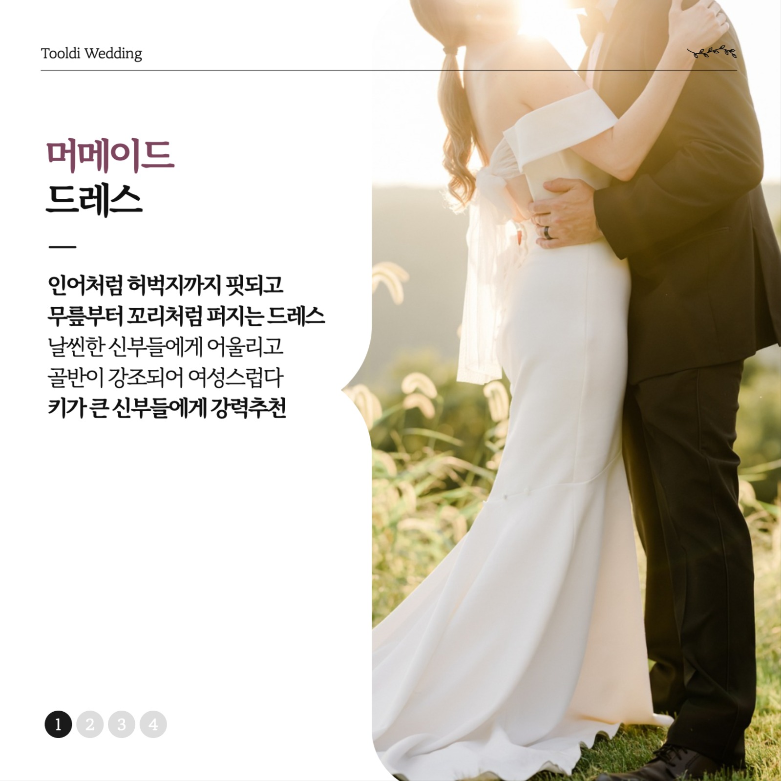 웨딩드레스 추천 카드뉴스