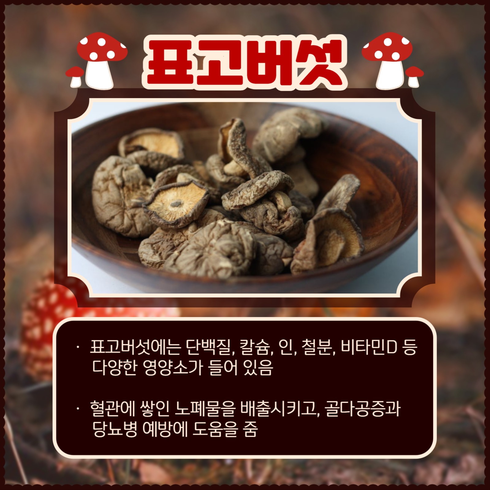 버섯의 종류와 효능 카드뉴스