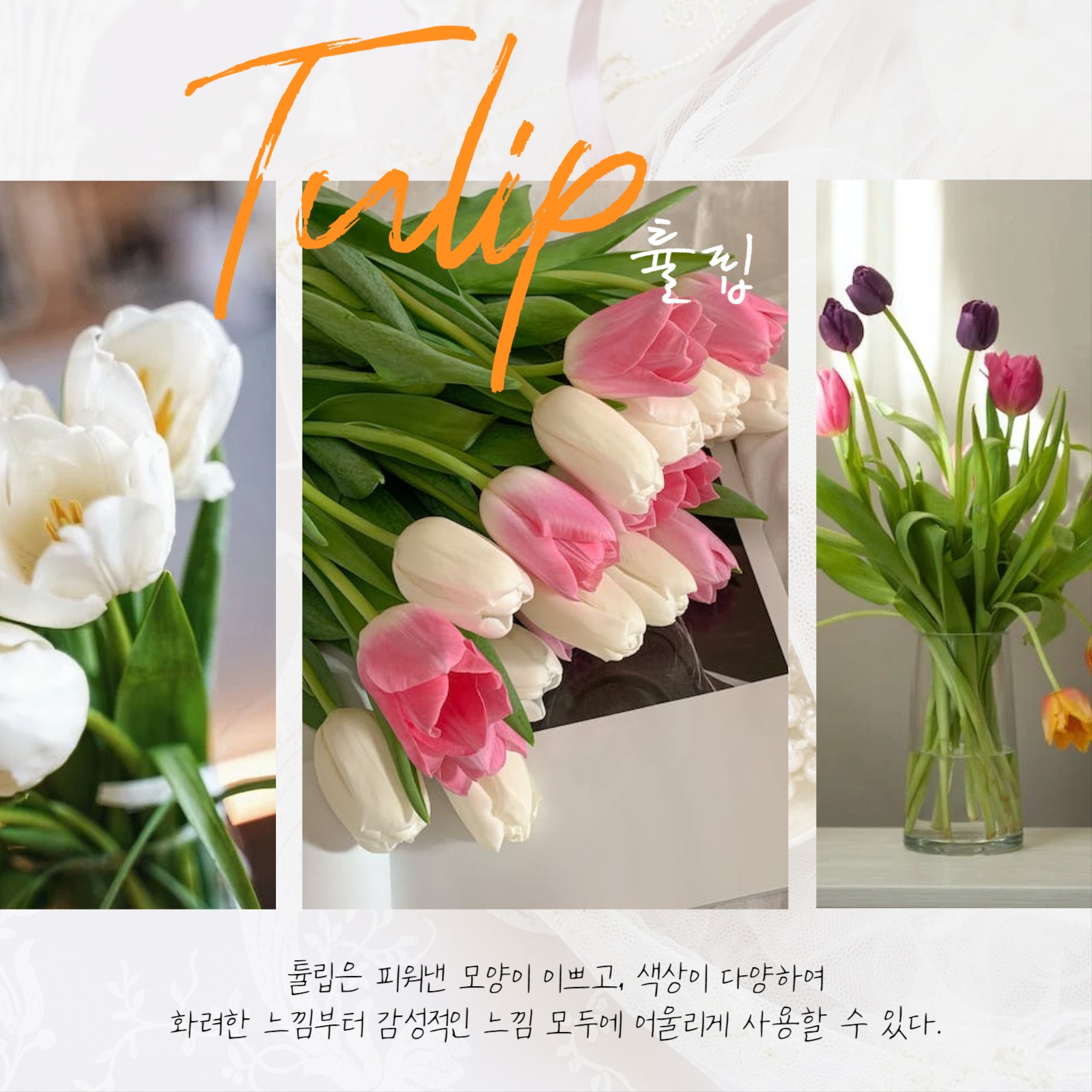 졸업식 꽃다발 추천 꽃집카드뉴스