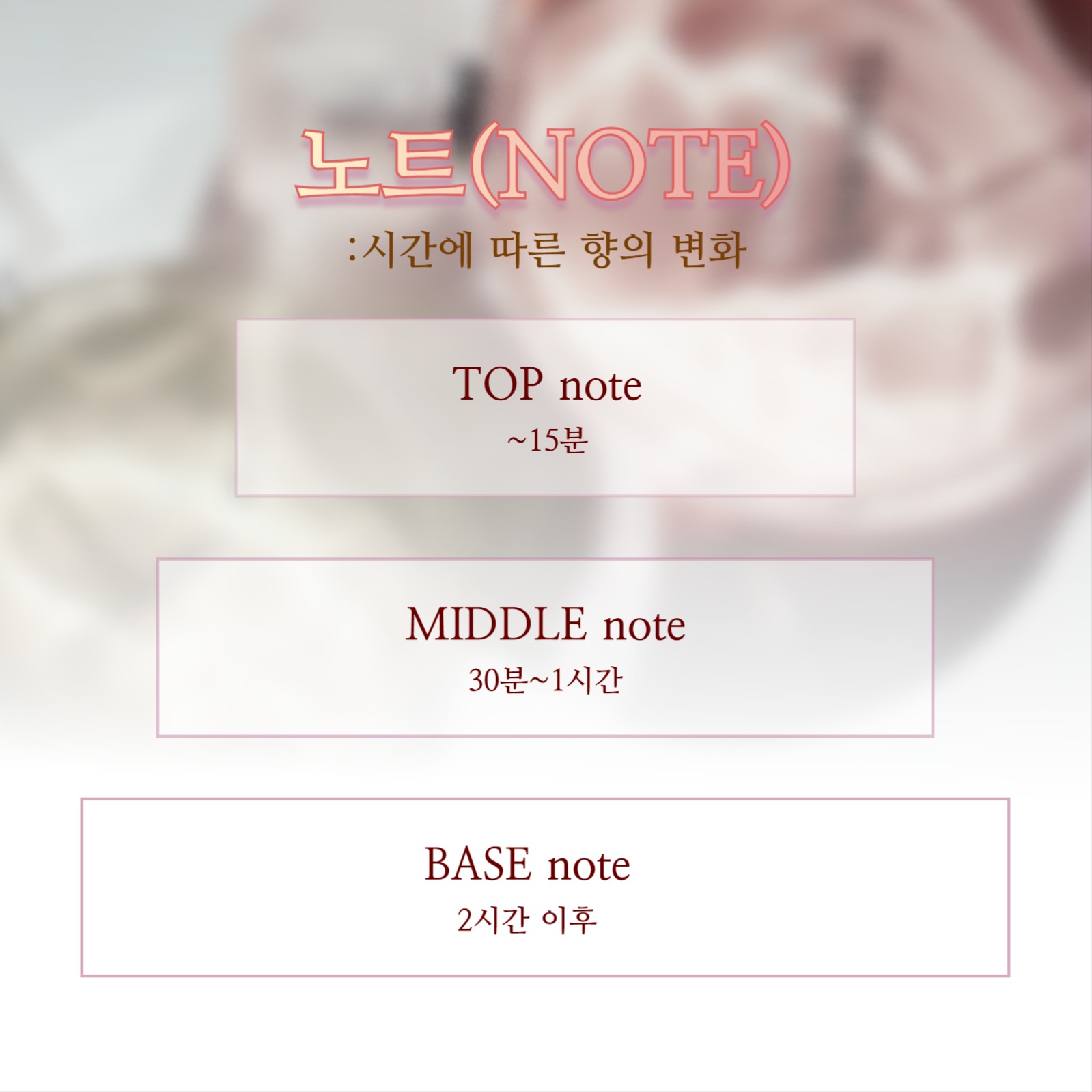 향수 용어 정리