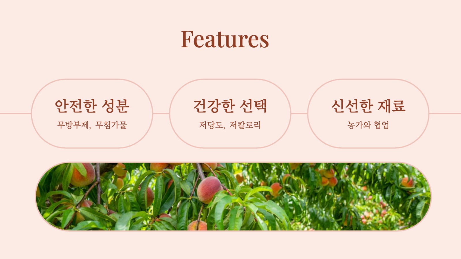 카페 여름 한정 메뉴 기획서