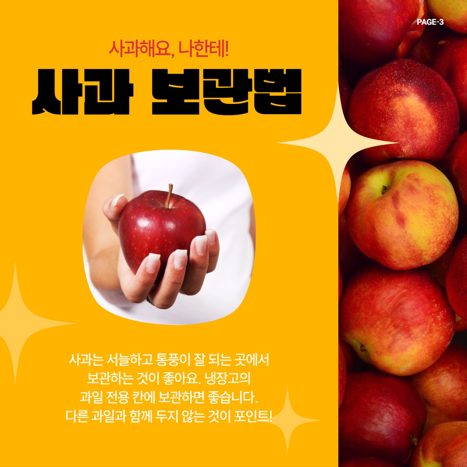 정보전달용 카드뉴스