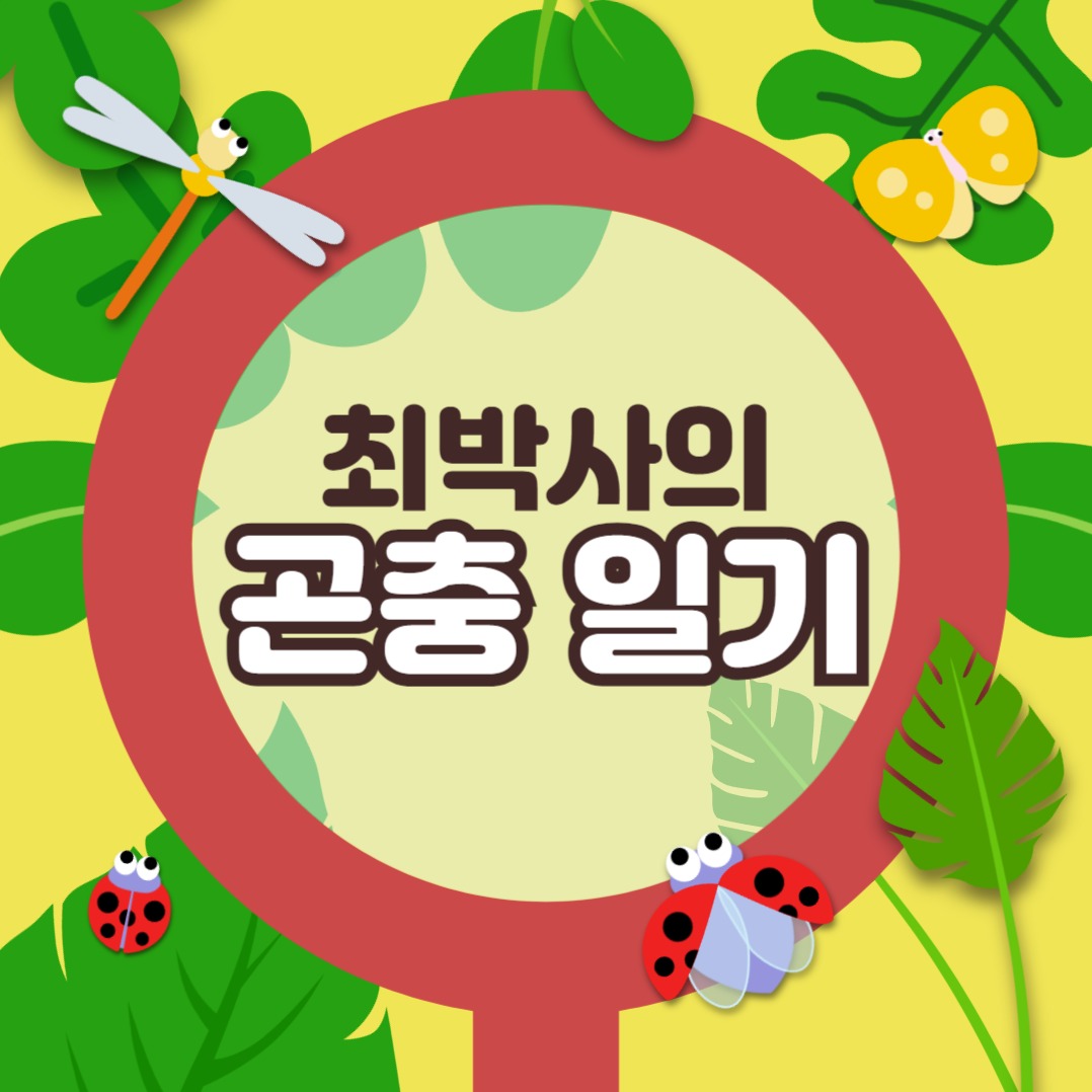 곤충 일기 카드뉴스
