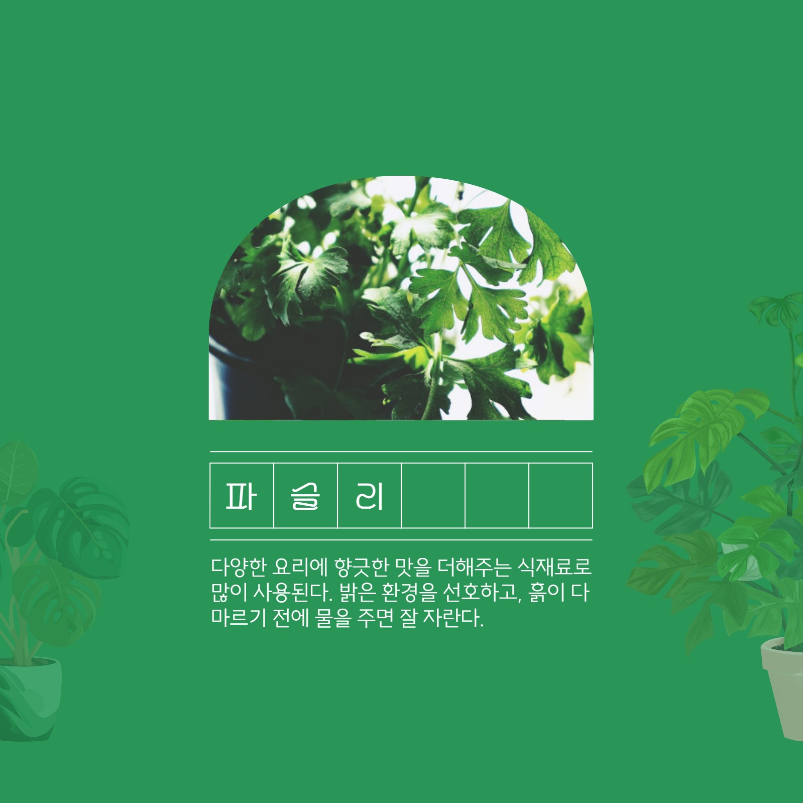 식목일 기념 카드뉴스