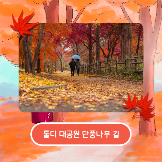 가을은 단풍여행 (카드뉴스)