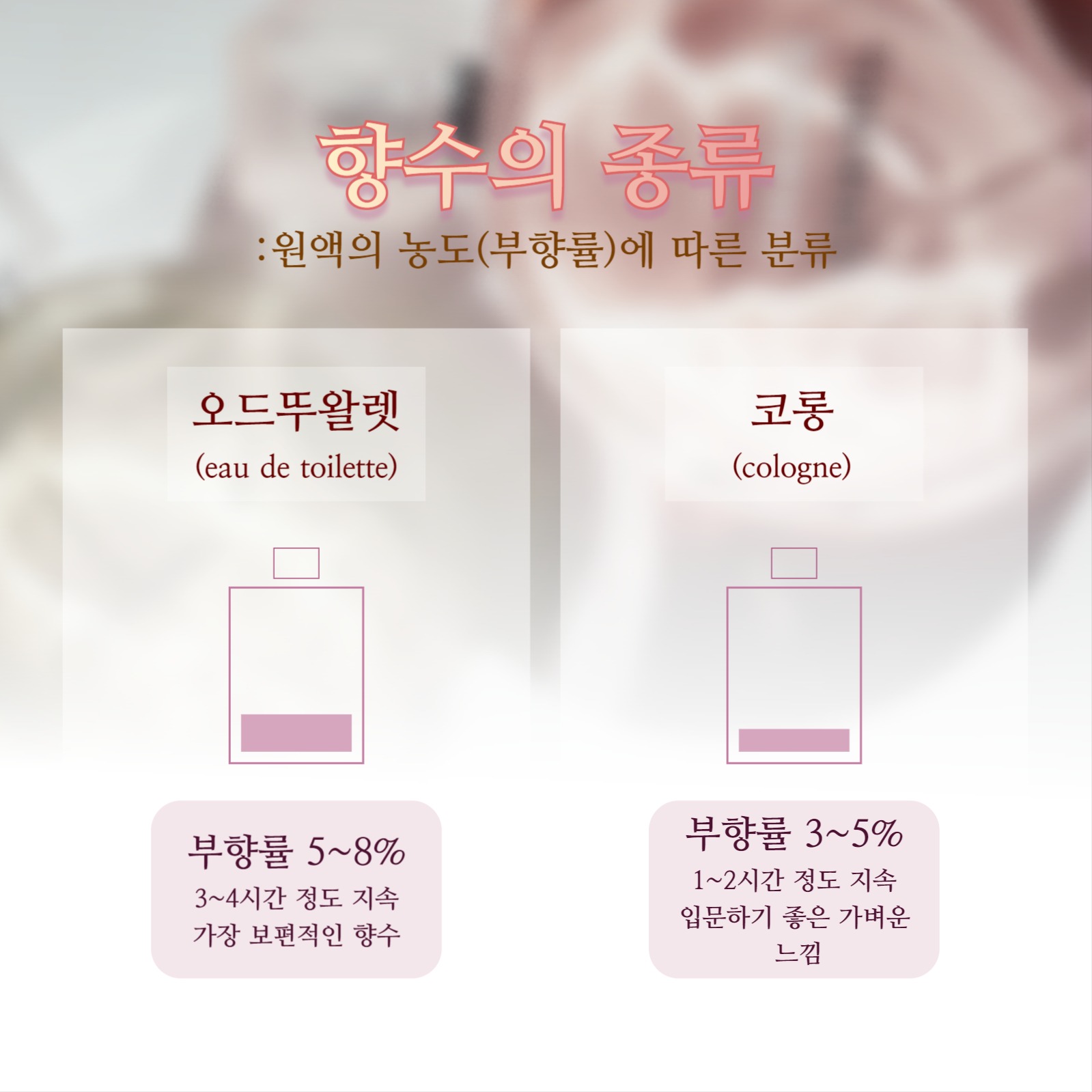 향수 용어 정리