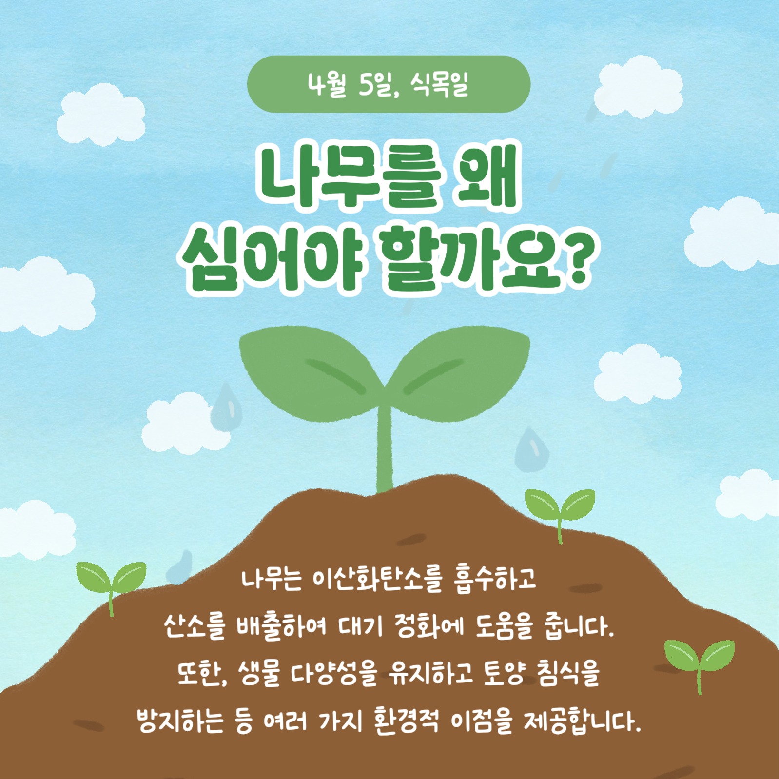 식목일의 모든 것 카드뉴스