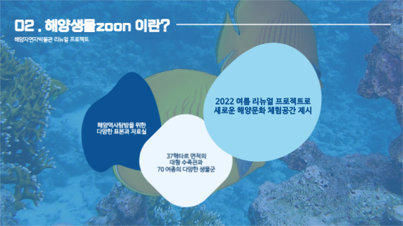 리뉴얼 프로젝트 제안 프레젠테이션