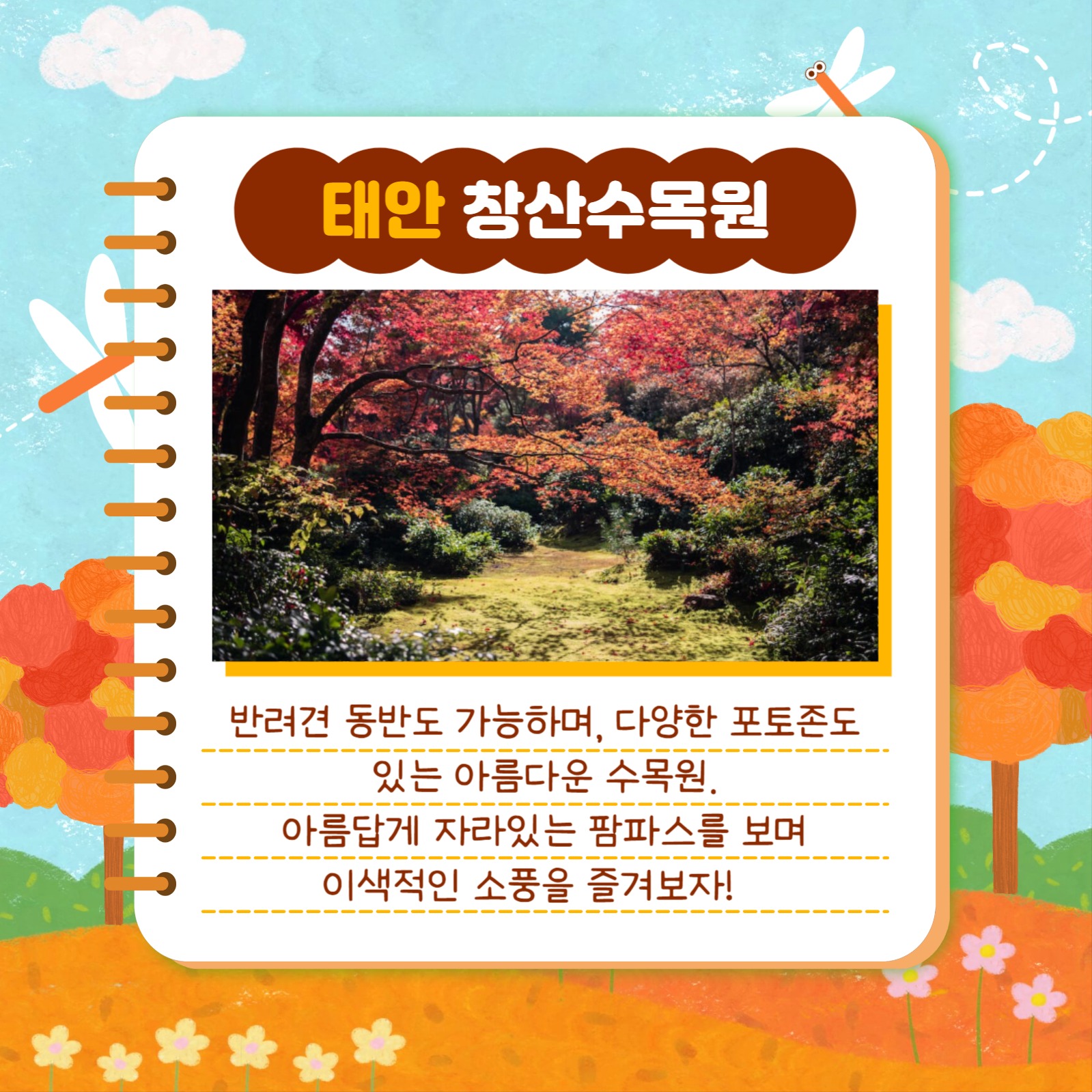 가을 소풍 장소 추천 카드뉴스