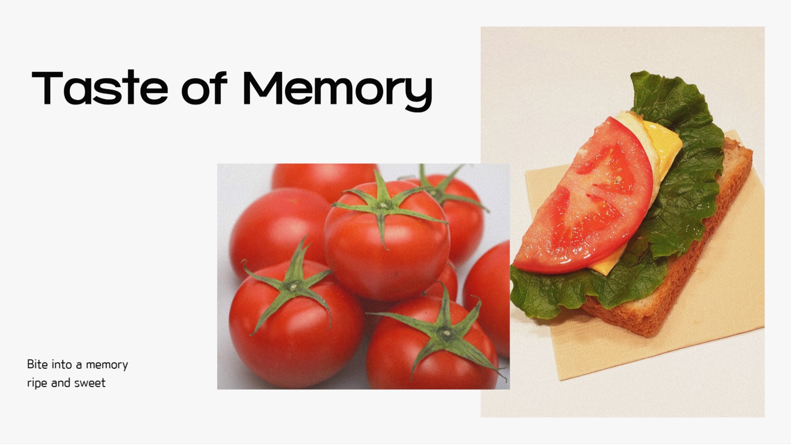 사진을 활용한 감성적인 ppt