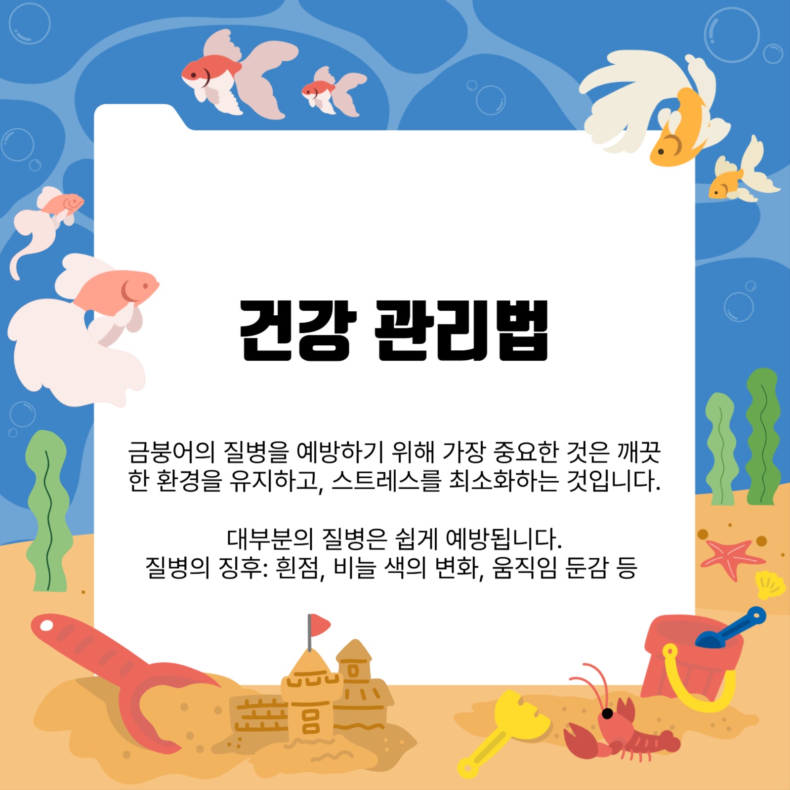 금붕어 키우기 