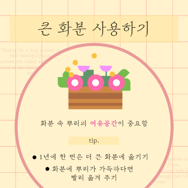 식물 키우기 리스트