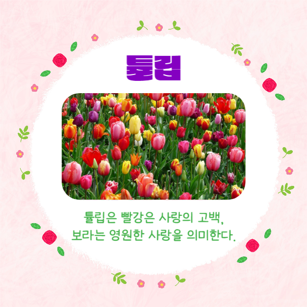 예쁜 꽃말 모음집 (카드뉴스)