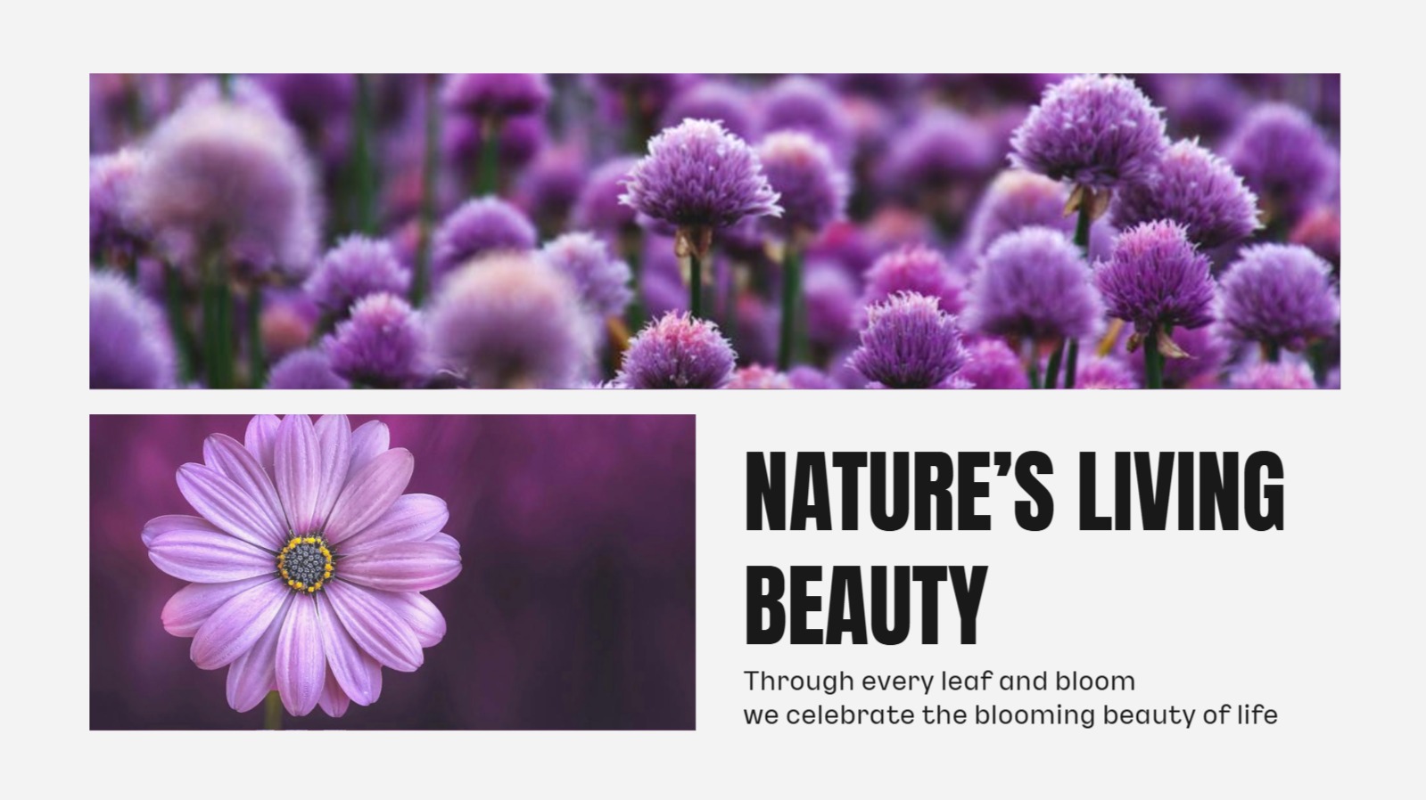 감성적인 포트폴리오