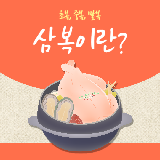 삼복이란? (인스타)