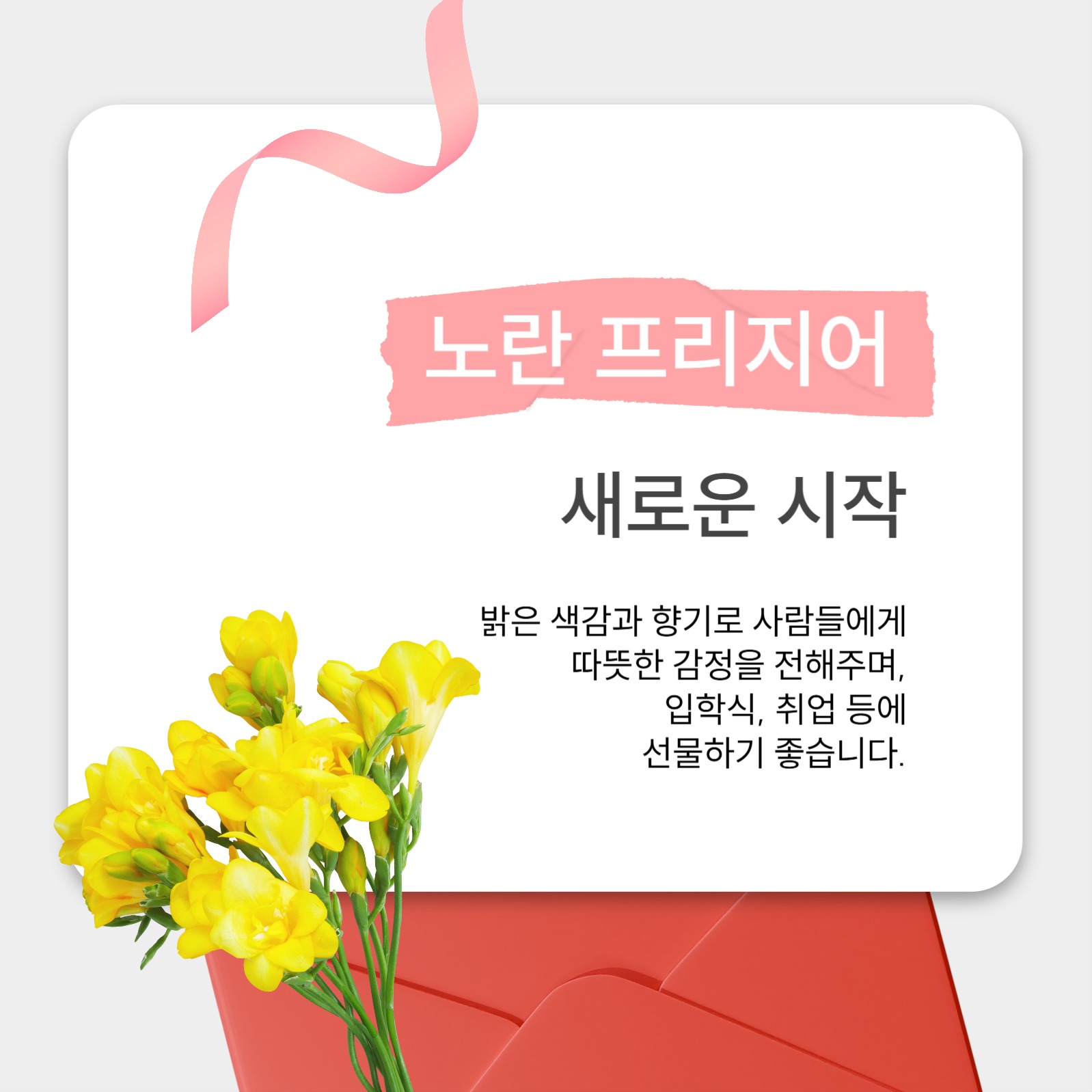 가정의 달 선물 꽃 추천 카드뉴스