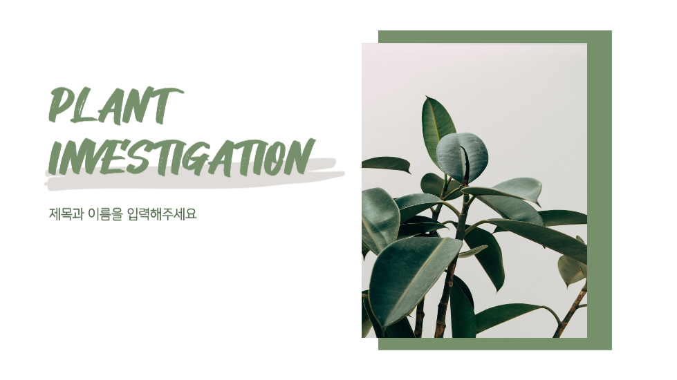 식물 조사 피피티