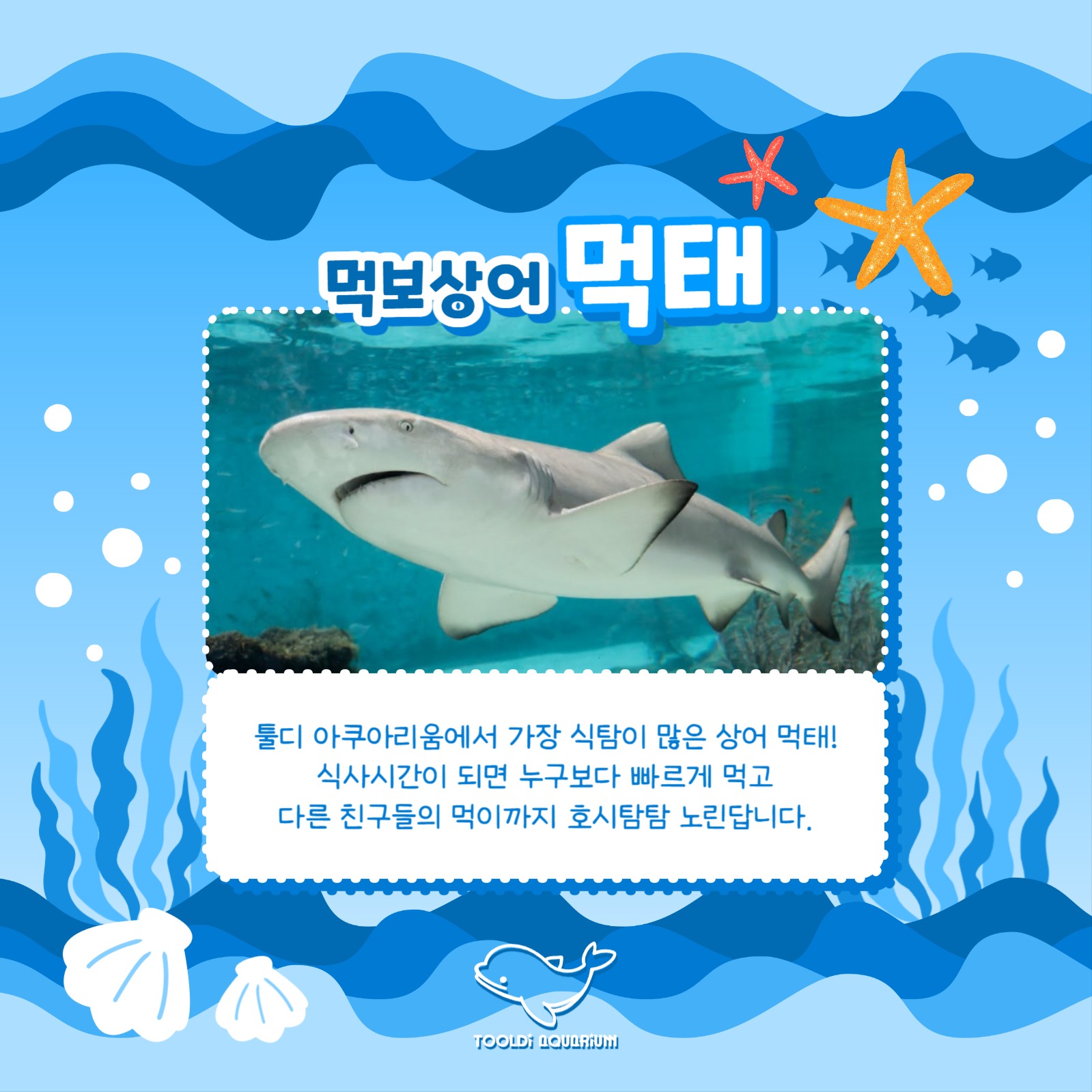 아쿠아리움 홍보 카드뉴스