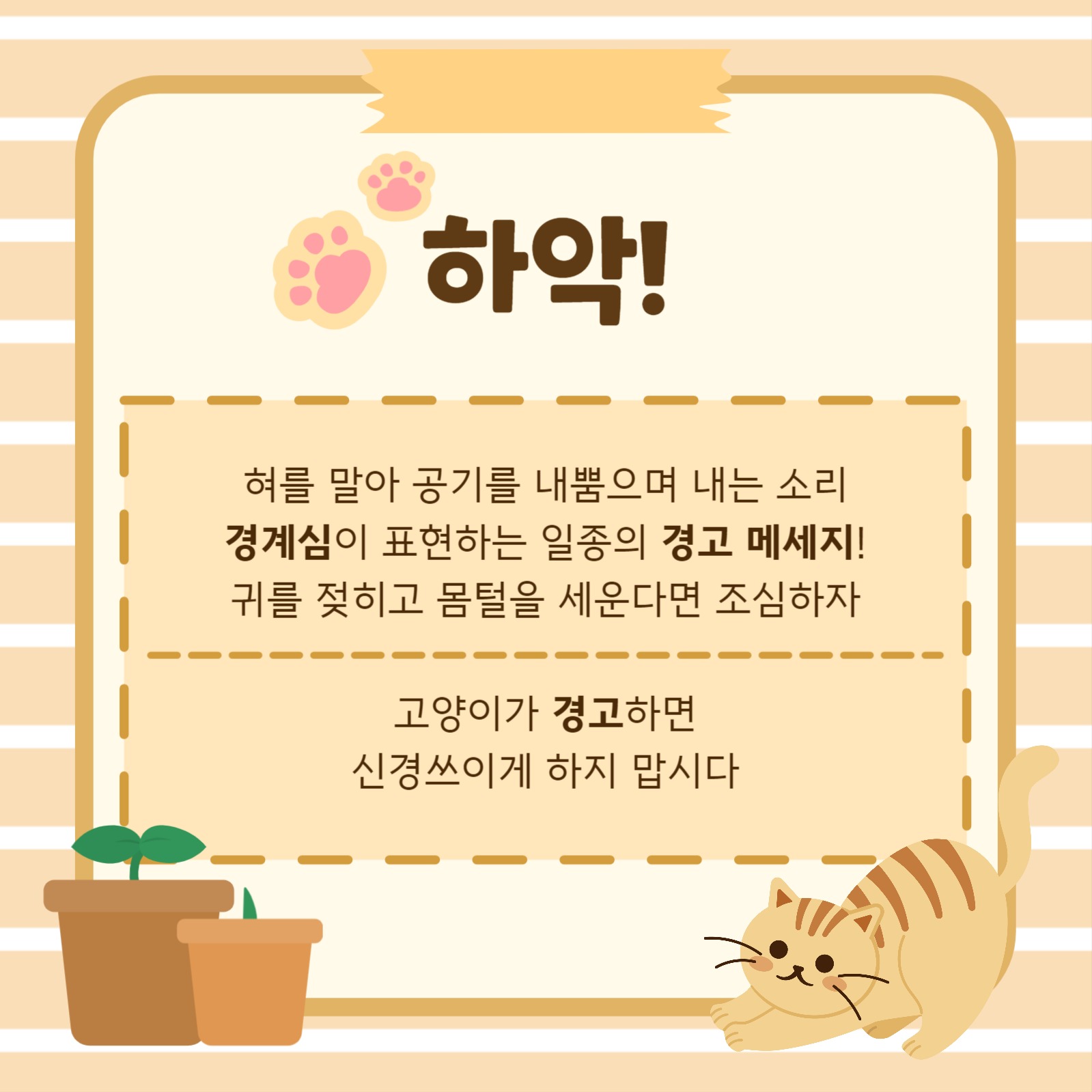 고양이 언어 완벽정리 카드뉴스