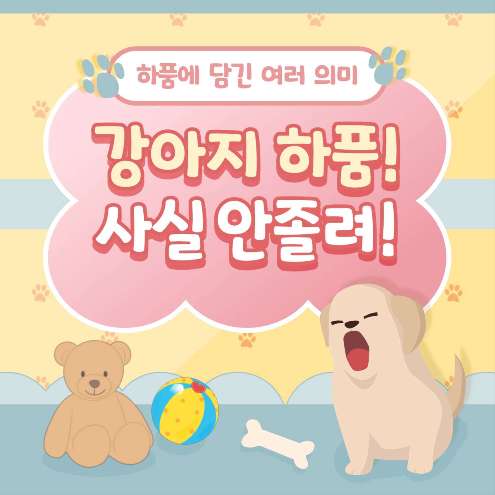 강아지 하품 알기