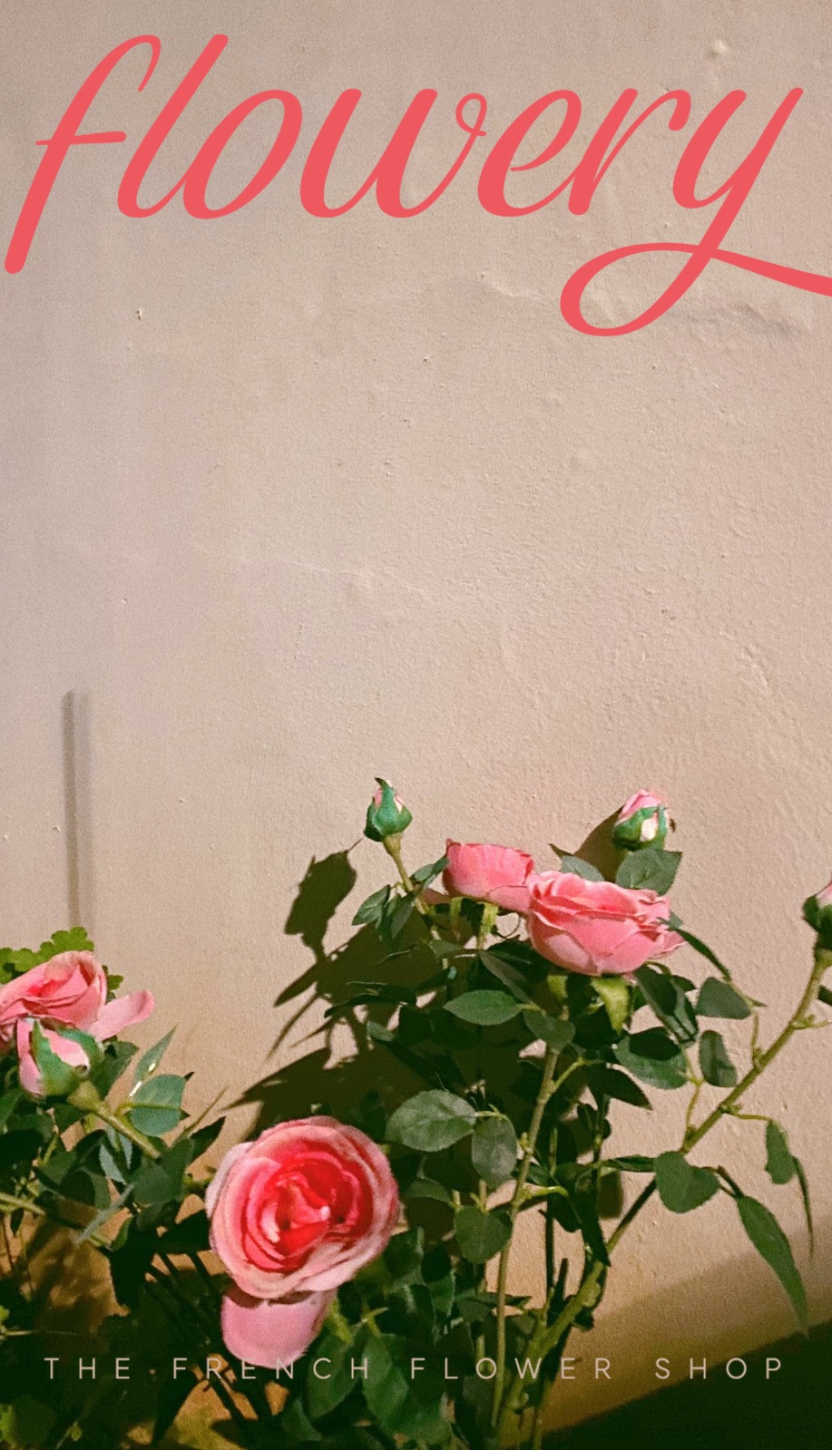 꽃집 플로리스트 카드 명함