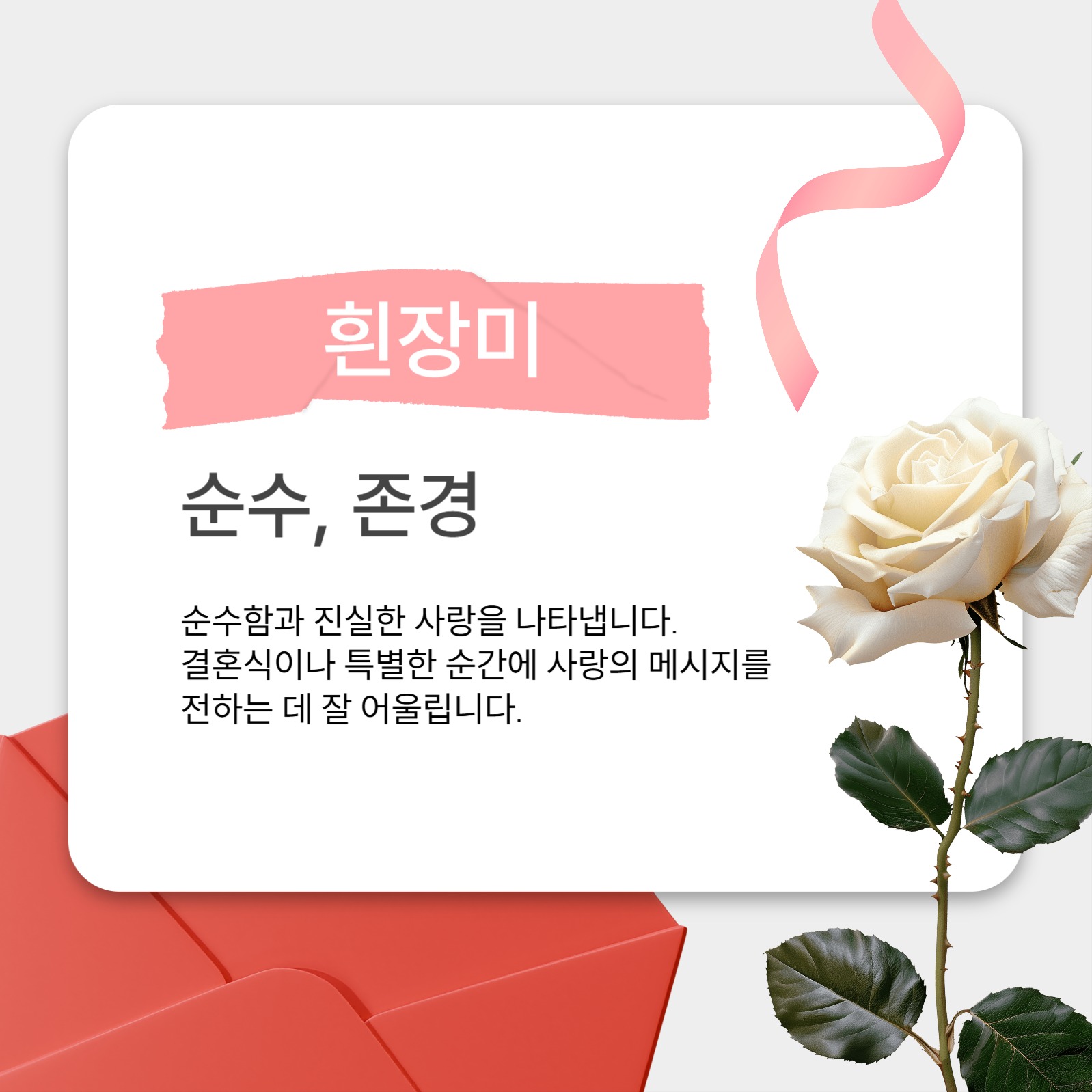 가정의 달 선물 꽃 추천 카드뉴스