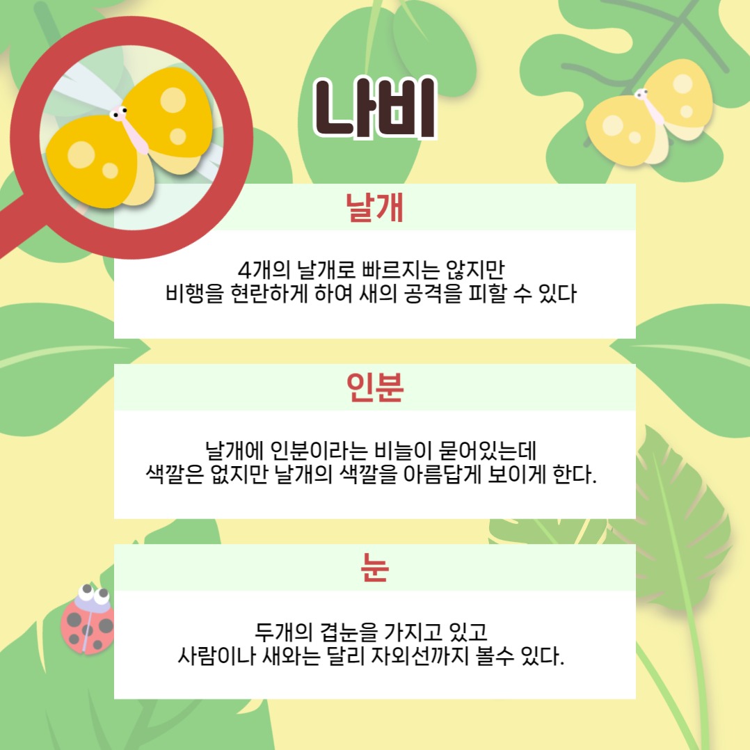 곤충 일기 카드뉴스