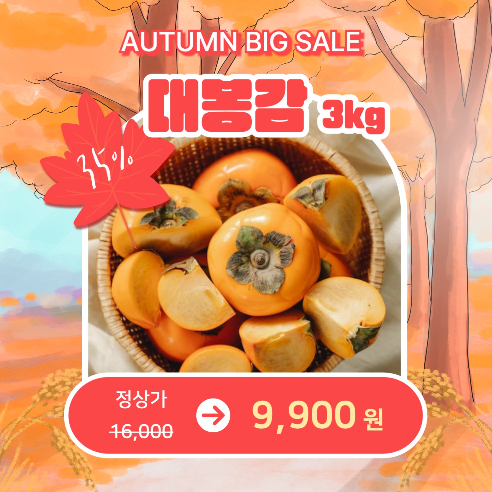 가을맞이 특별할인 (카드뉴스)