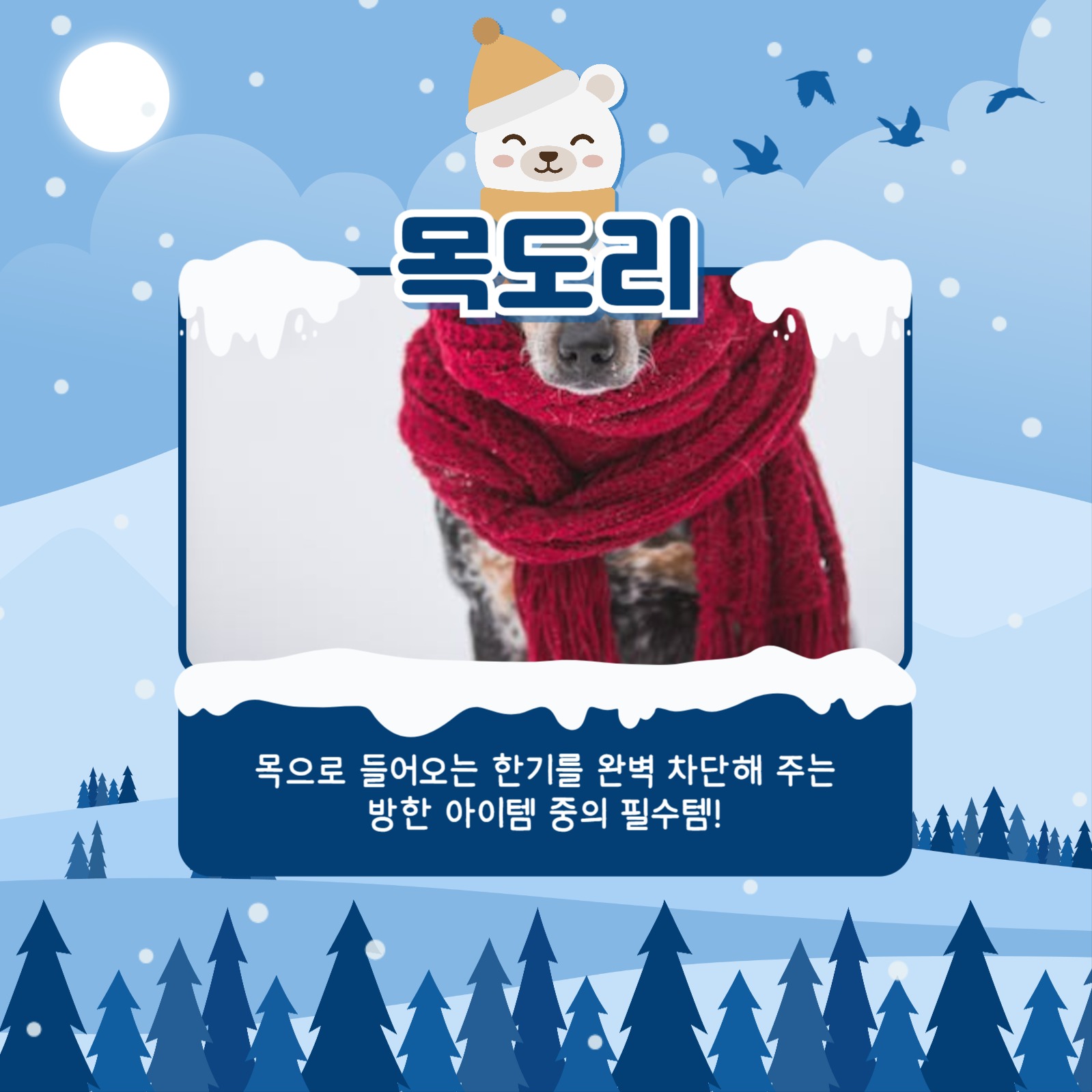 겨울철 방한용품 카드뉴스