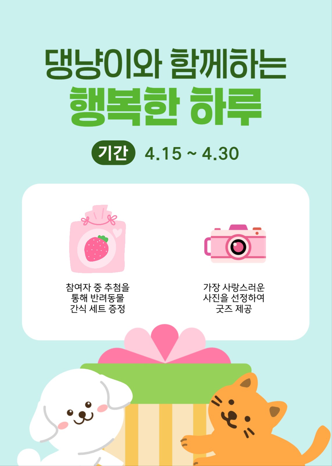 댕냥이와 함께하는 행복한 하루