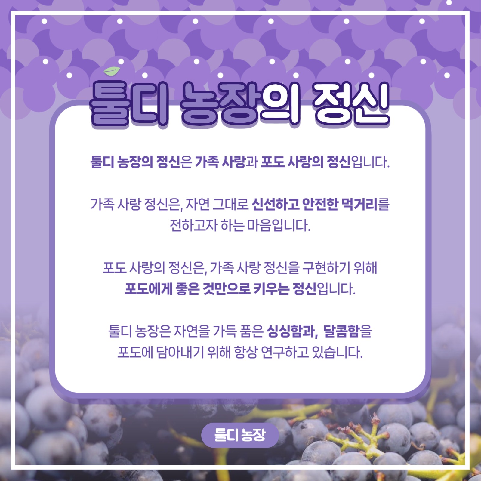 포도 농장 템플릿