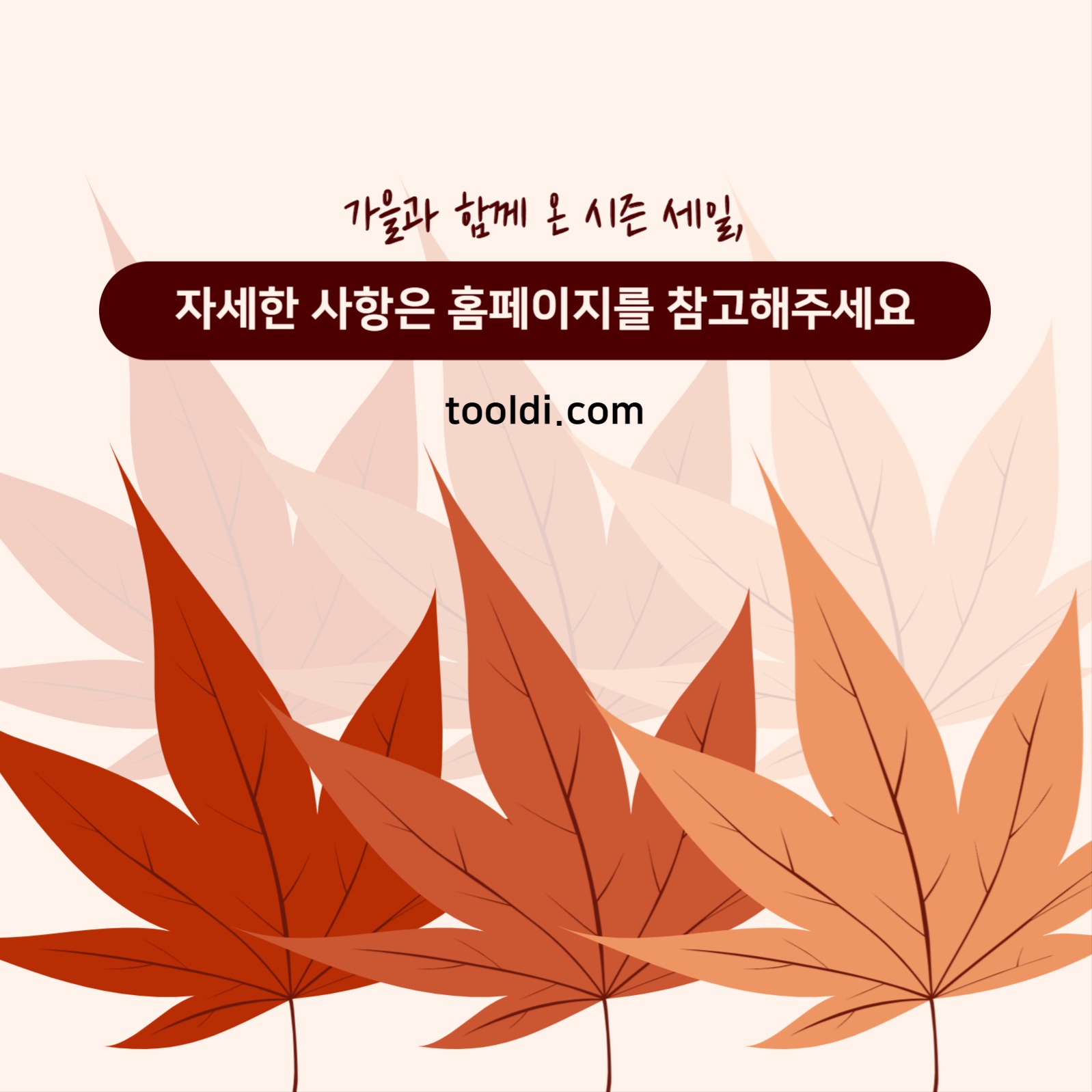 가을 시즌 세일 피드