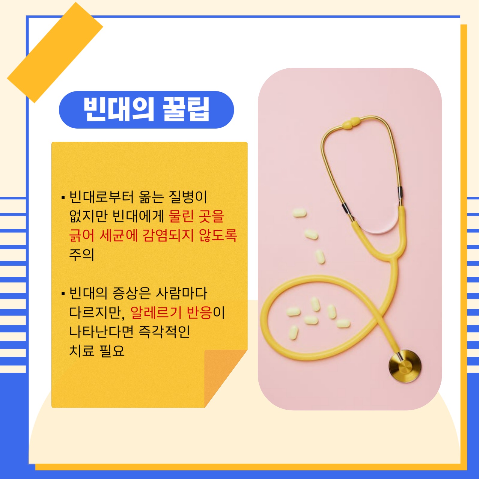 빈대 예방 꿀팁 대방출 카드뉴스