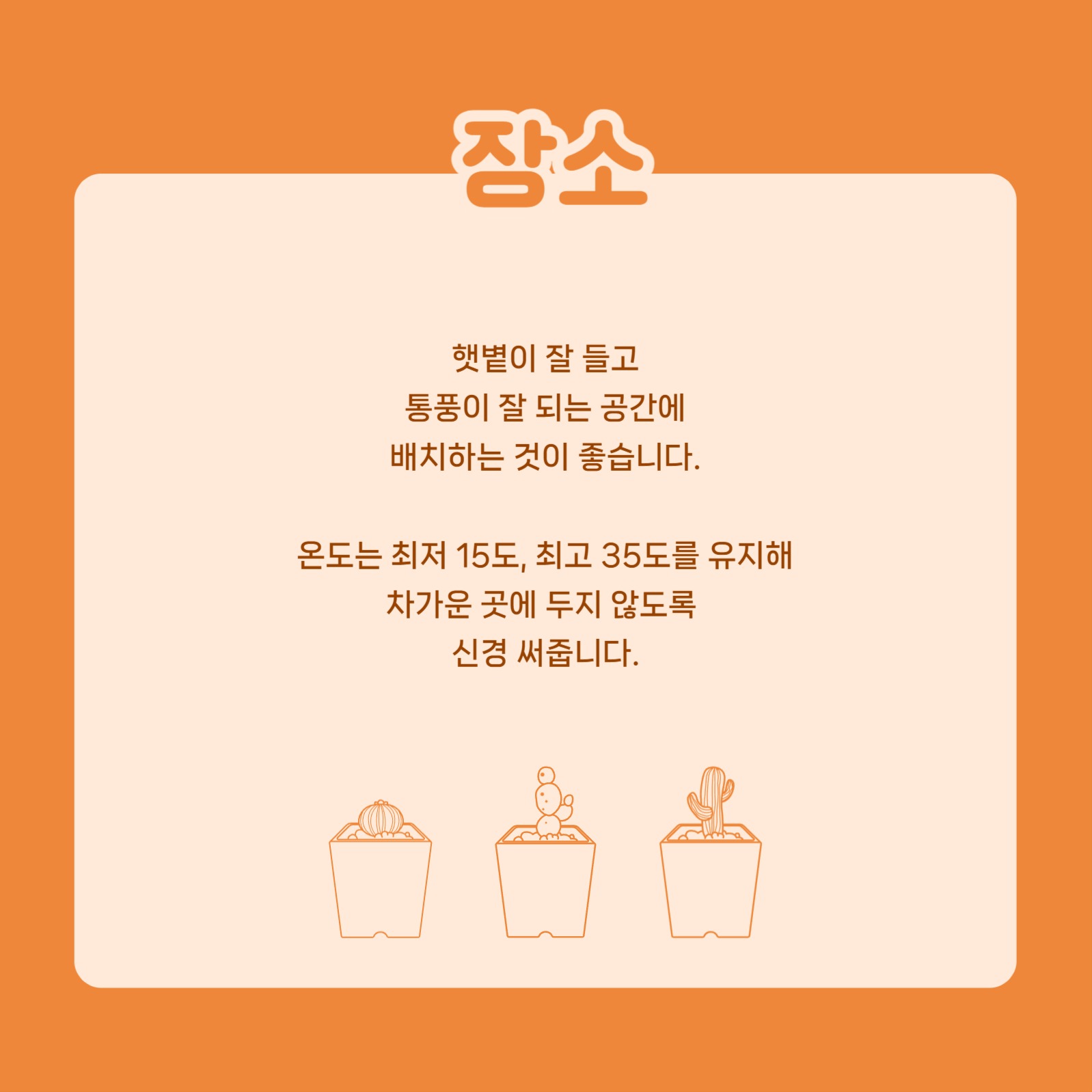 선인장 키우기 카드뉴스