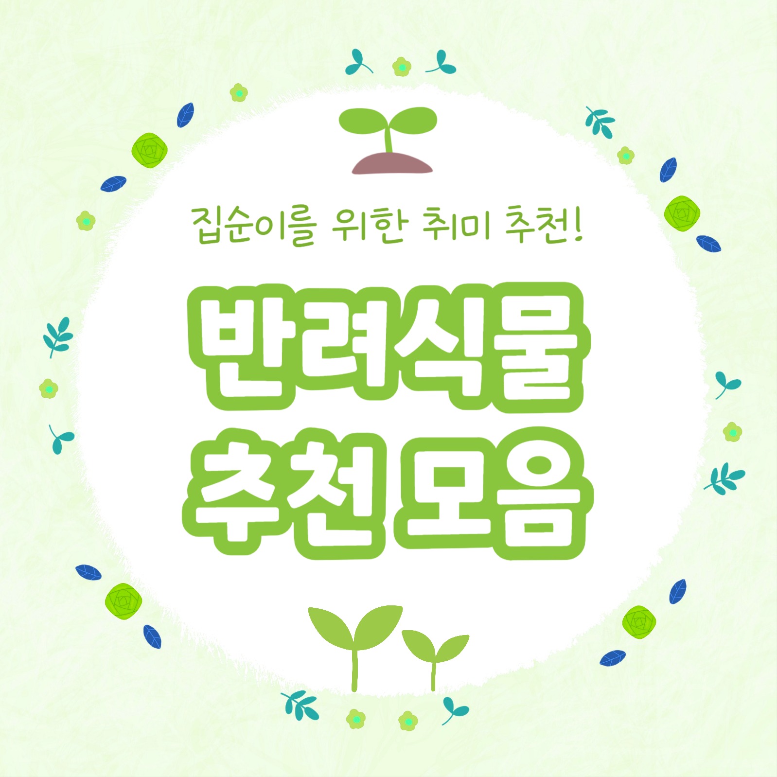 반려식물 추천 모음 카드뉴스